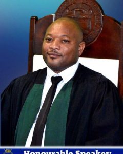 Cllr AM Nsibande - Speaker